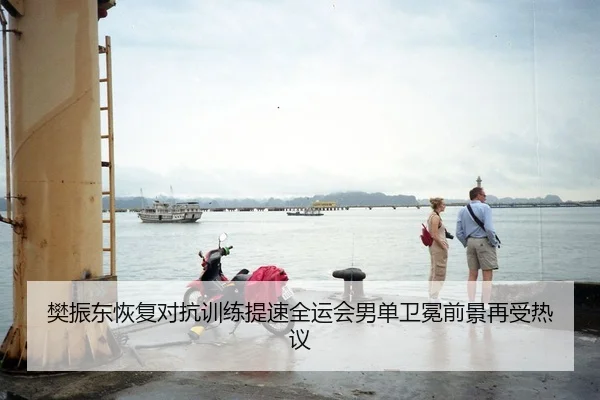 樊振东恢复对抗训练提速全运会男单卫冕前景再受热议
