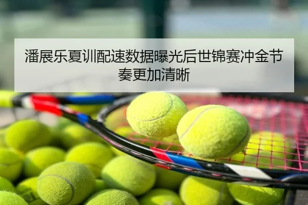 潘展乐夏训配速数据曝光后世锦赛冲金节奏更加清晰