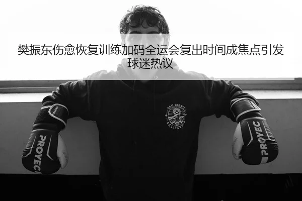 樊振东伤愈恢复训练加码全运会复出时间成焦点引发球迷热议